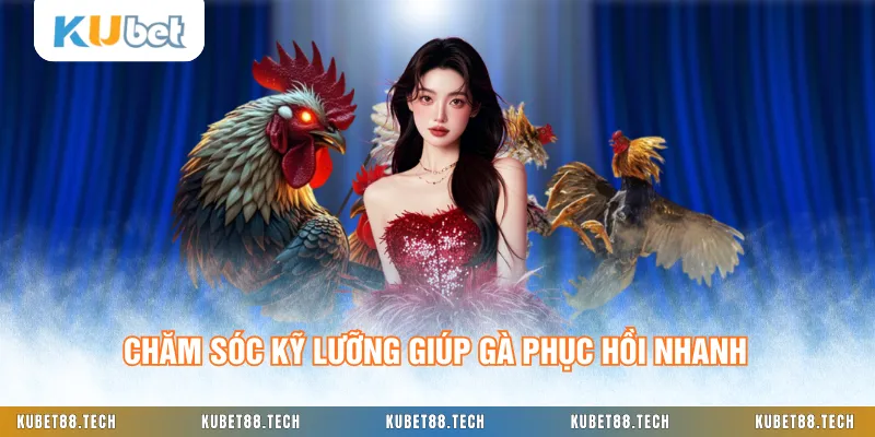Chăm sóc kỹ lưỡng giúp gà phục hồi nhanh