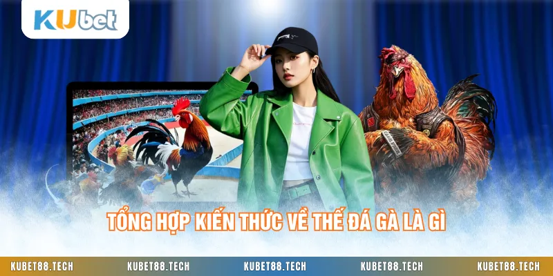 Tổng hợp kiến thức về thế đá gà là gì