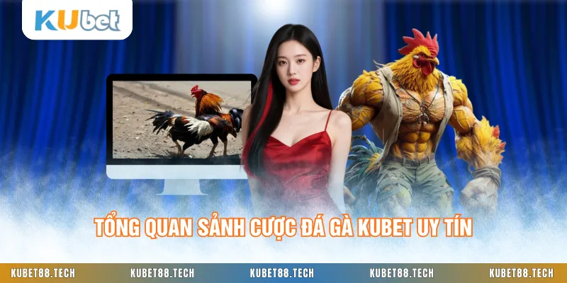 Tổng quan sảnh cược đá gà KUBET uy tín