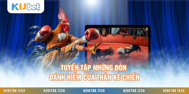 Tuyển tập những đòn đánh hiểm của thần kê chiến