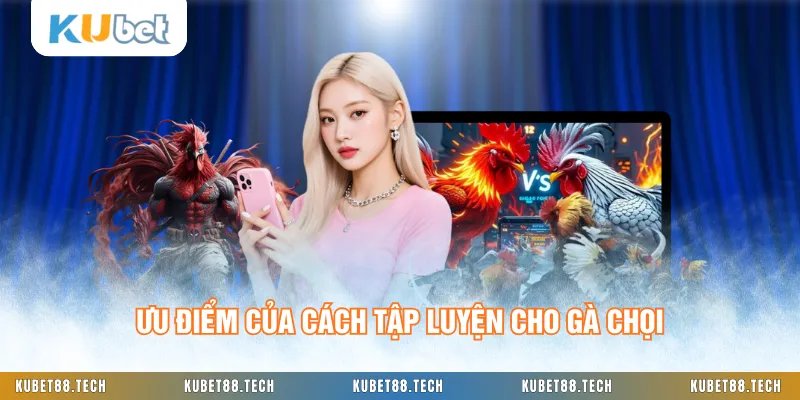 Ưu điểm của cách tập luyện cho gà chọi